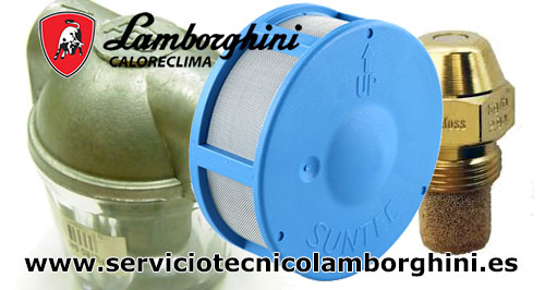 Sustitución de boquillas y filtros de gasoil, de quemador de gasoil Lamborghini Lozoyuela