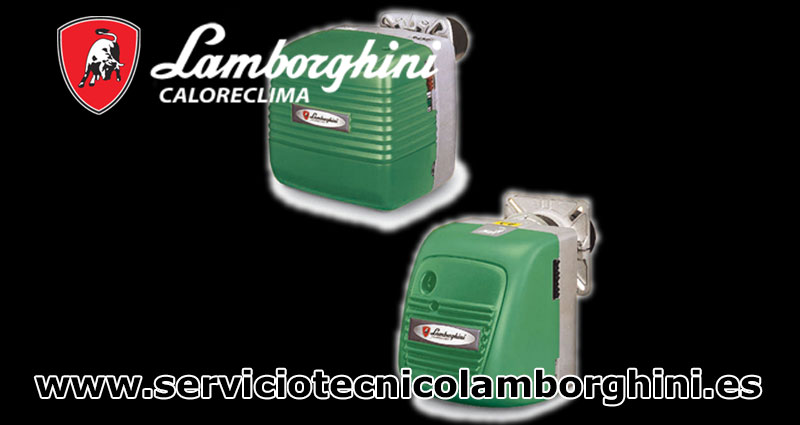 Servicio Técnico Lamborghini     La Cabrera

