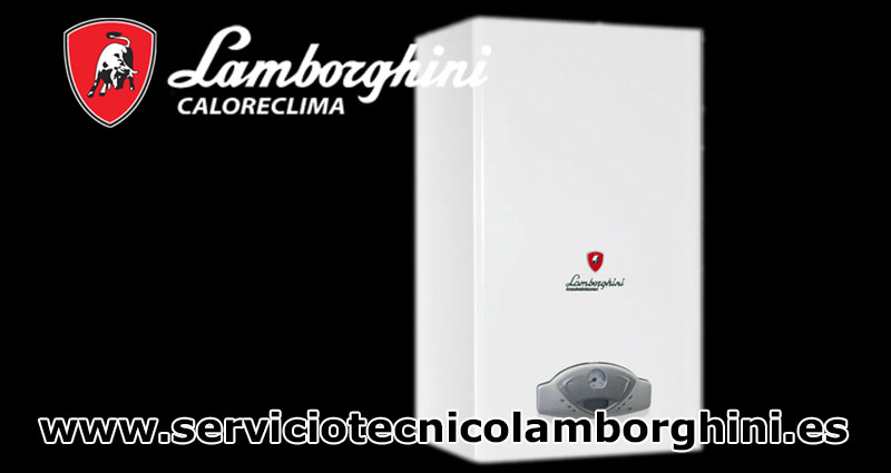 Servicio Técnico Lamborghini     Valdeavero
